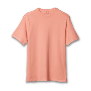 every day tee